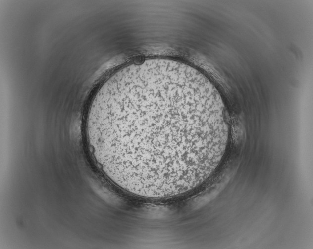 X0000113020207200909241642