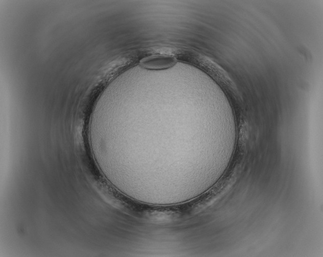 X0000113020209200909241642