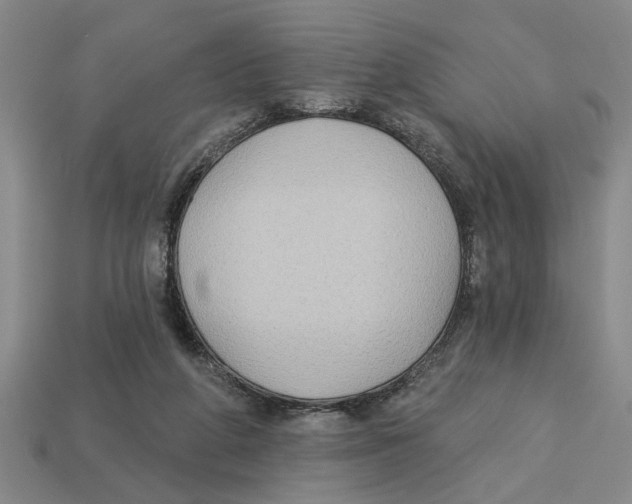 X0000113020210200909241642