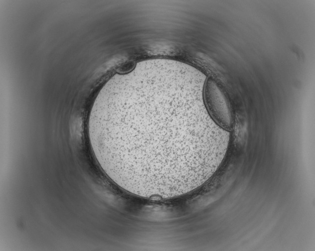 X0000113020211200909241642