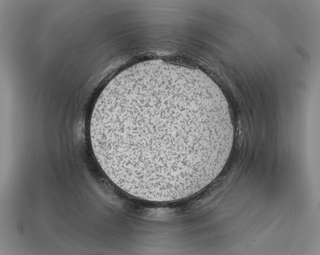 X0000113020212200909241642