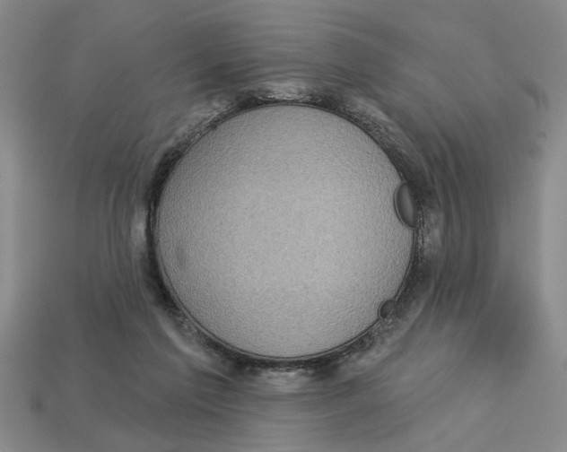 X0000113020213200909241641