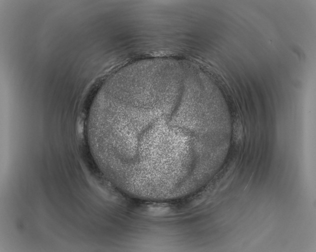 X0000113020214200909241641