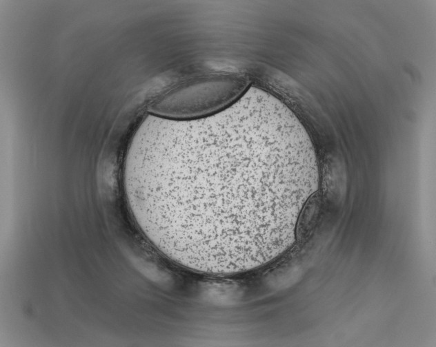 X0000113020215200909241641