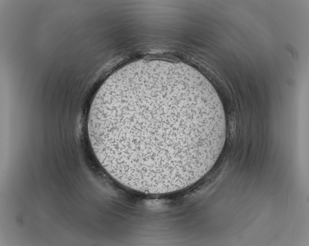 X0000113020216200909241641