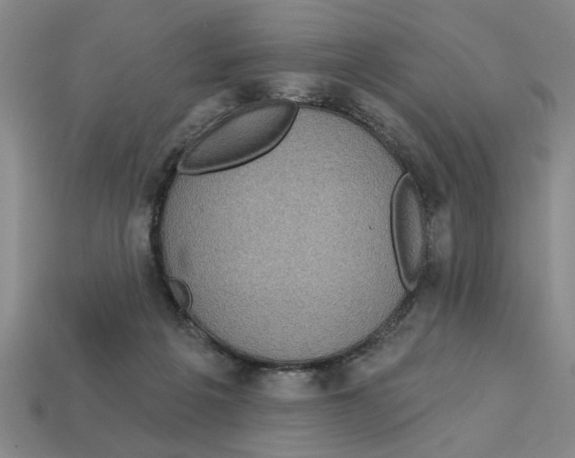 X0000113020217200909241641