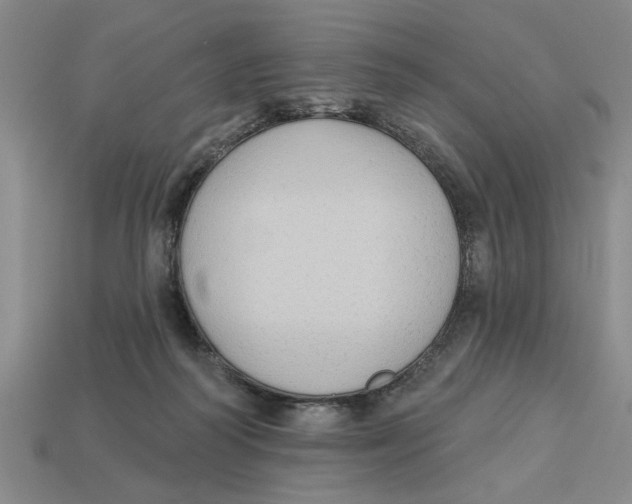 X0000113020218200909241641