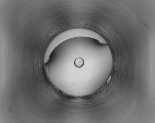 X0000113020219200909241641