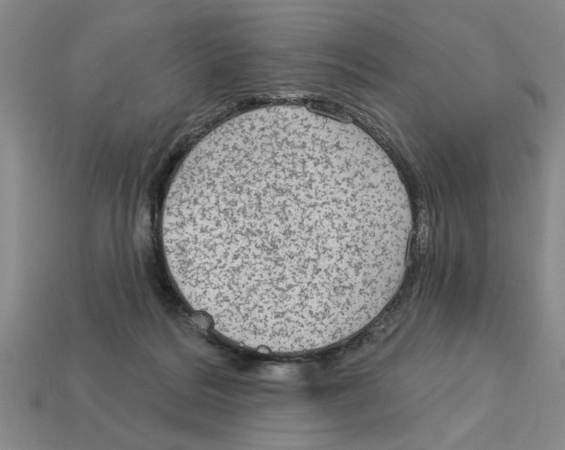 X0000113020220200909241641