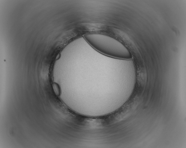 X0000113020221200909241641