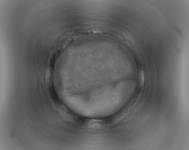 X0000113020222200909241641