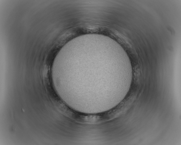 X0000113020225200909241641