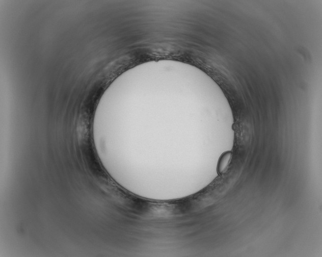 X0000113020226200909241641