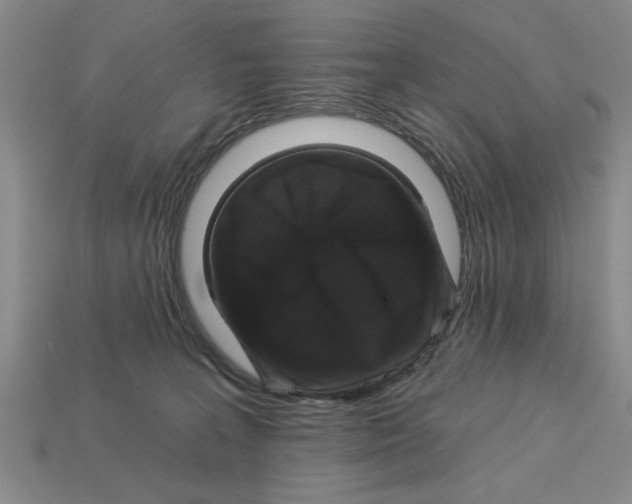 X0000113020227200909241641