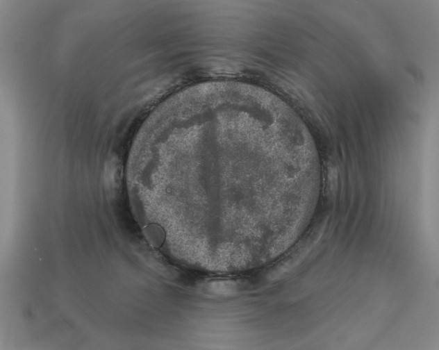 X0000113020228200909241641