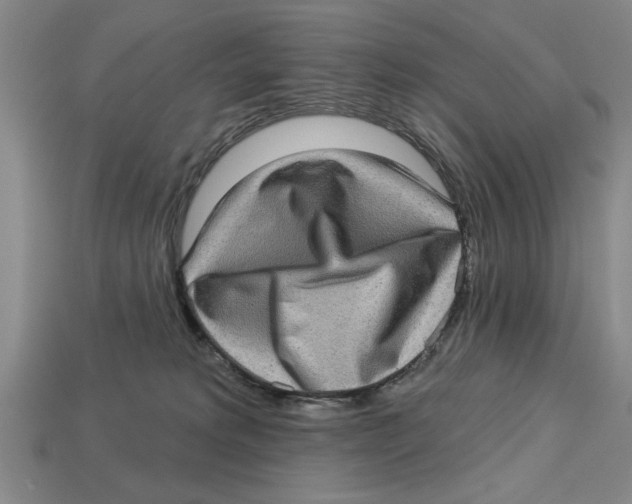 X0000113020229200909241641