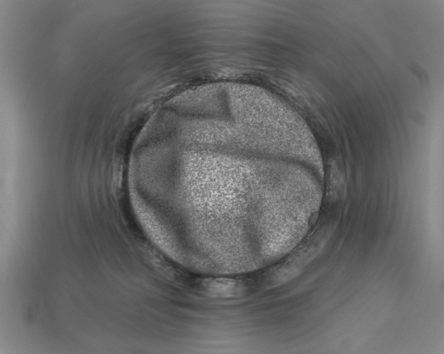 X0000113020230200909241641