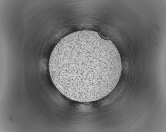 X0000113020232200909241641