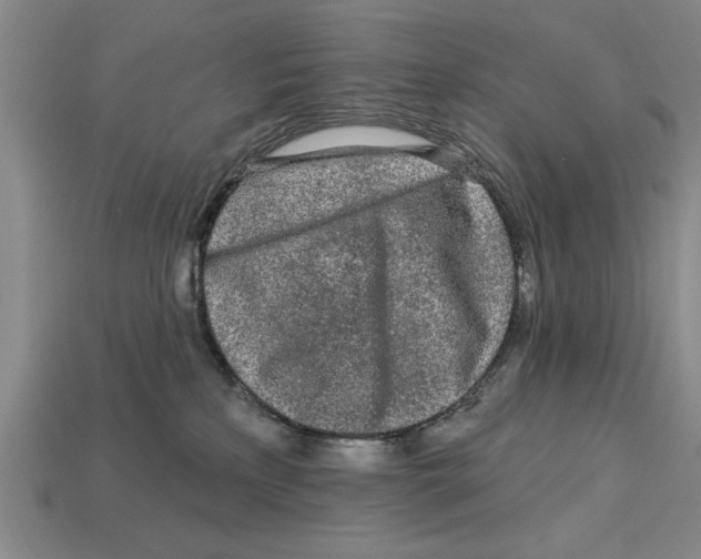 X0000113020233200909241641