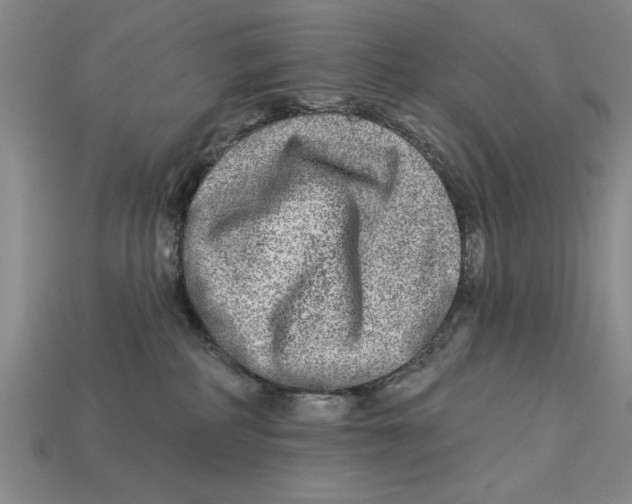 X0000113020234200909241641