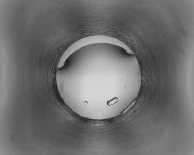 X0000113020235200909241641