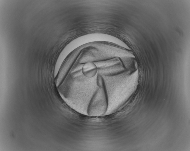 X0000113020237200909241641