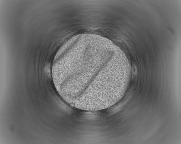 X0000113020238200909241641