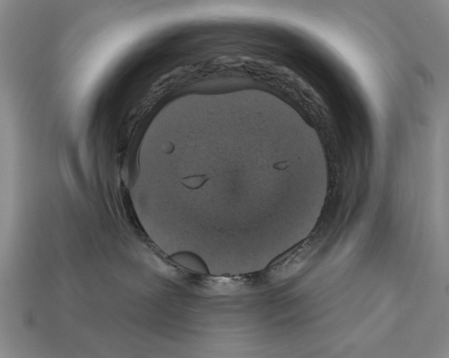 X0000113020239200909241641