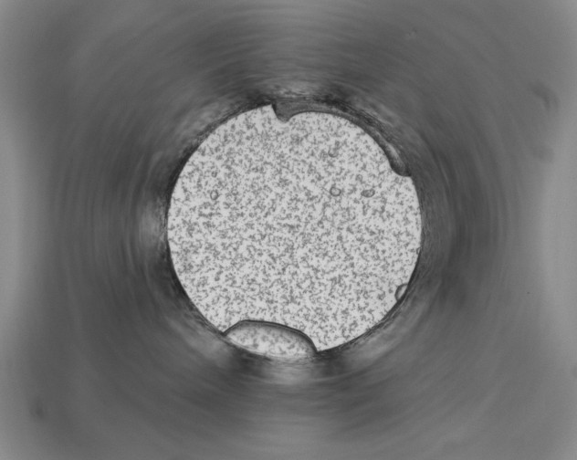 X0000113020240200909241641