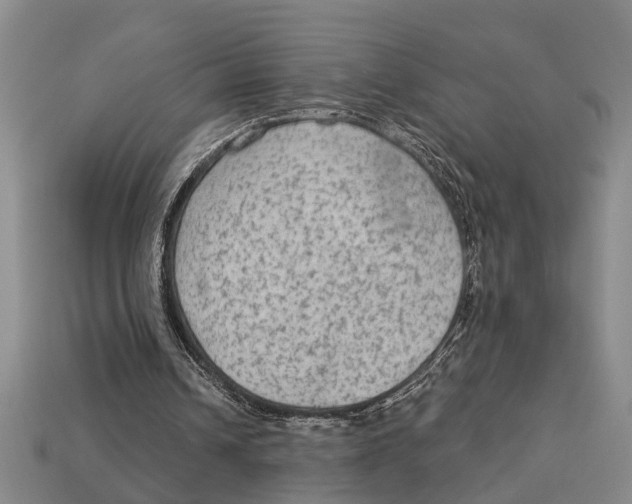 X0000113020242200909241641