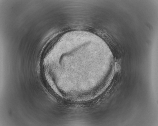 X0000113020243200909241641