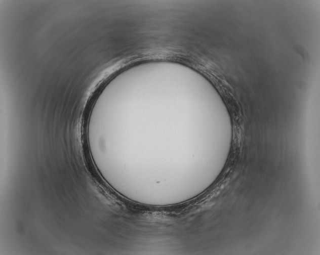 X0000113020244200909241641