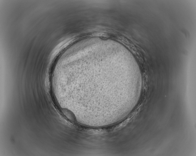 X0000113020245200909241641