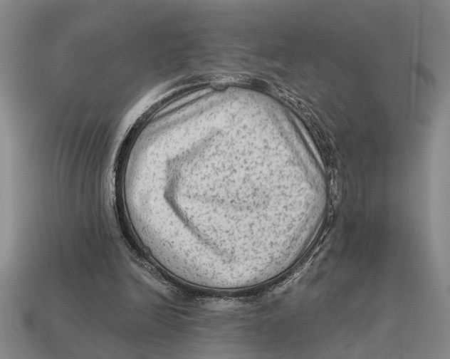 X0000113020246200909241641