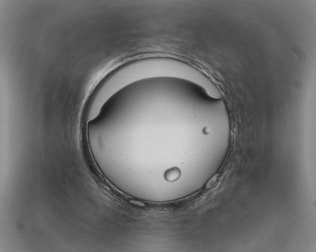 X0000113020248200909241641