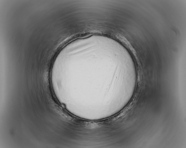 X0000113020249200909241641