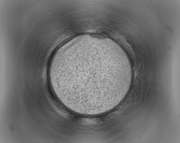 X0000113020250200909241641