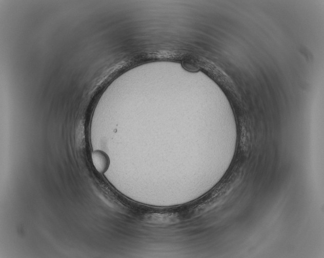 X0000113020251200909241641