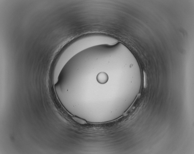 X0000113020252200909241641