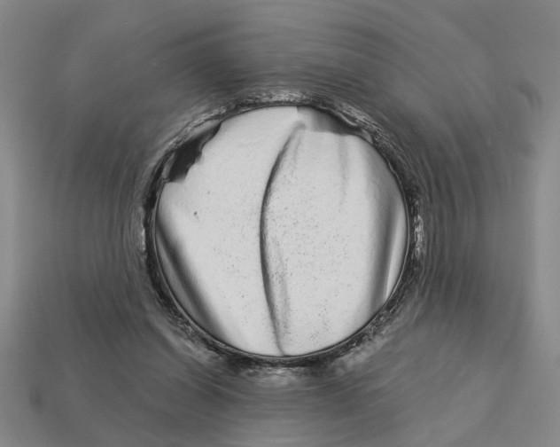 X0000113020254200909241641