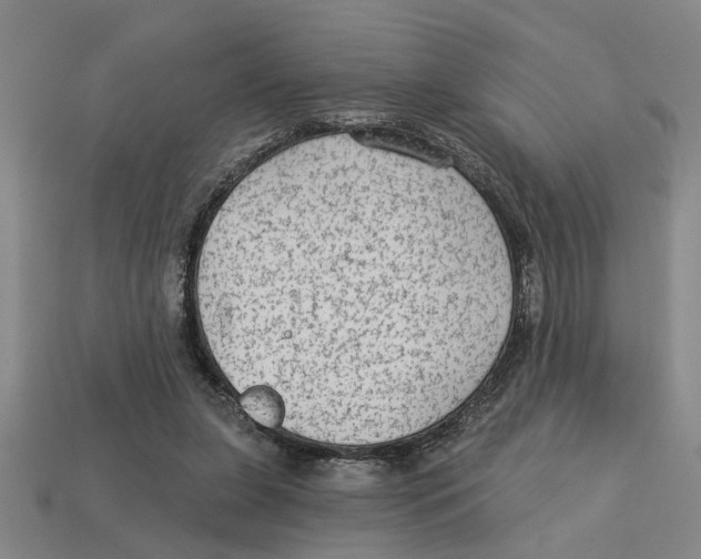 X0000113020255200909241641