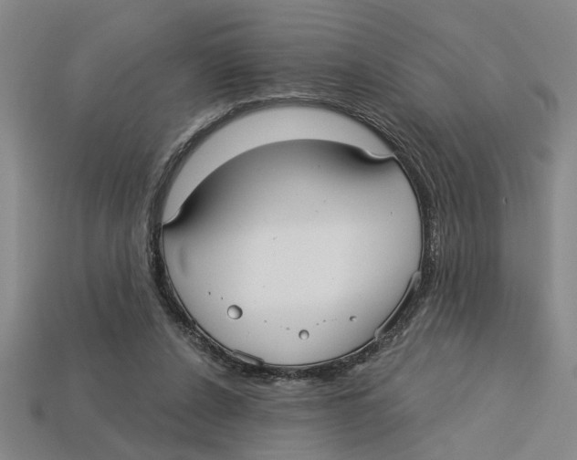 X0000113020256200909241641