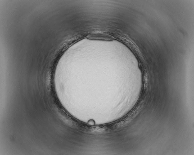 X0000113020257200909241641