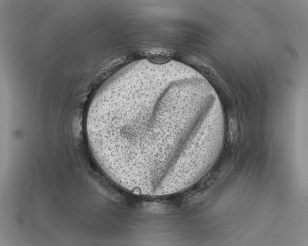 X0000113020259200909241641