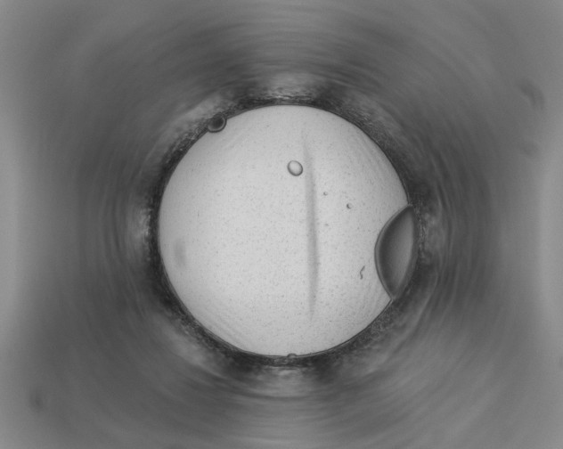 X0000113020260200909241641