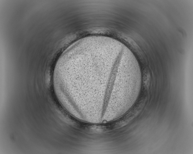 X0000113020261200909241641