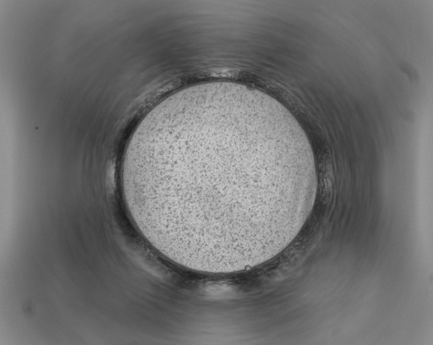 X0000113020262200909241641