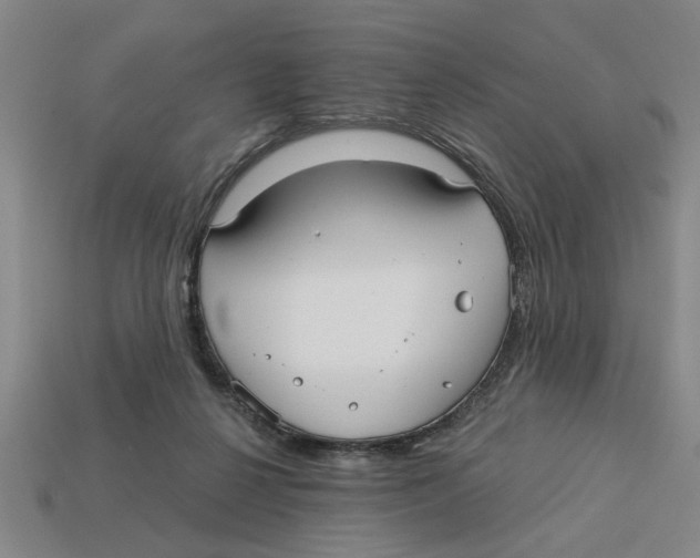 X0000113020264200909241641