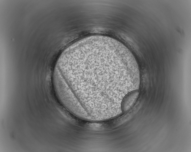 X0000113020265200909241641