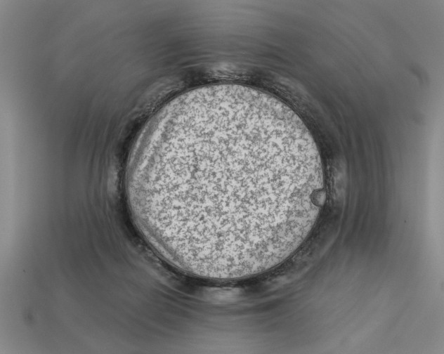 X0000113020266200909241641